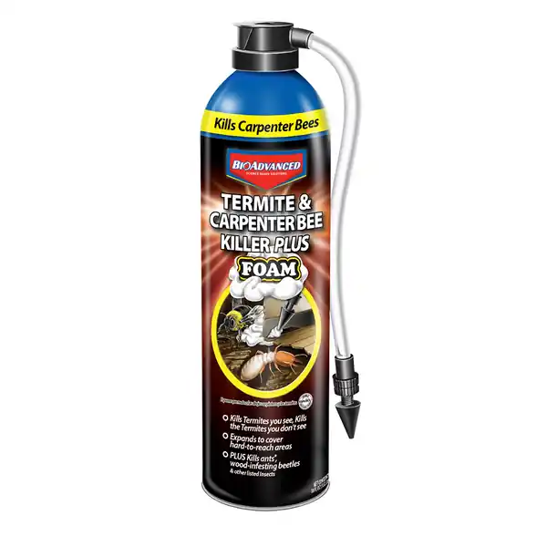 BioAdvanced 700420A Bee Killer, Foam, 18 oz Package