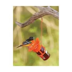 Songbird ESSENTIALS Fliteline SEBCO212 Bird Feeder, Orange Blossom, 12 oz, Jam, Jelly, Plastic, Orange, 4-1/2 in H
