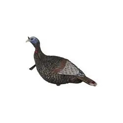Flextone Game Calls Thunder FLXDY317 Jake Turkey Decoy, Brown