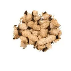 Wild Delight 37905 Inshell Peanuts - 5 lbs.