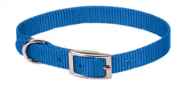 Scott Pet 1415BL12 Puppy Dog Collar, 12 in L Collar, 5/8 in W Collar, Nylon, Blue