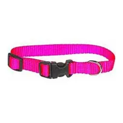 Scott Pet 1424HPXS Dog Collar, 6 to 9 in L Collar, 3/8 in W Collar, Nylon, Hot Pink