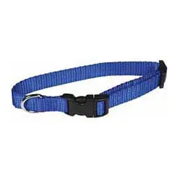 Scott Pet 1425BLSM Dog Collar, 8 to 12 in L Collar, 5/8 in W Collar, Nylon, Blue