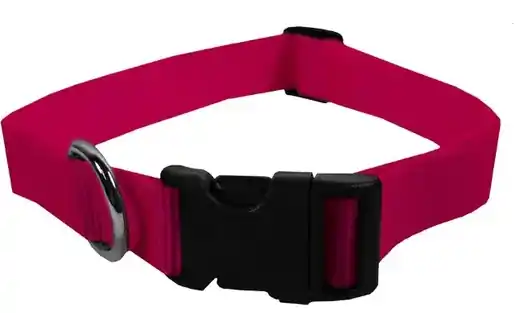Scott Pet 1428SFXL Dog Collar, 18 to 26 in L Collar, 1 in W Collar, Nylon, Strawberry Frost