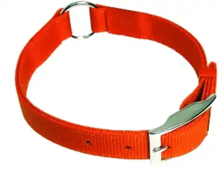 Scott Pet 1654OR16 Center Ring Collar, 16 in L Collar, 3/4 in W Collar, Nylon, Hot Orange