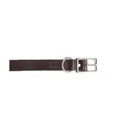 Scott Pet 5413BN10 Dog Collar, 10 in L Collar, 3/8 in W Collar, Leather, Brown
