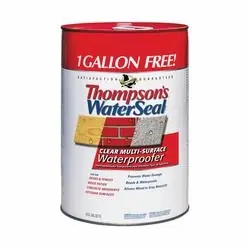 Thompson‘s WaterSeal TH.024106-06 Waterproofer, Clear, 6 gal, Can