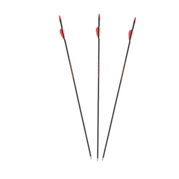 Allen 93026 Target Arrow, 26 in L, Fiberglass