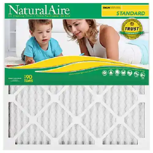 Flanders NaturalAire 84858.01203 Pleated Air Filter, 25 in L, 20 in W, 8 MERV, Clay Frame