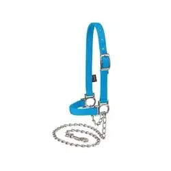 WEAVER LEATHER 35-8111-BL Adjustable Sheep Halter with Chain Lead, 3/4 in, Nylon, Hurricane Blue