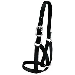 WEAVER LEATHER 35-8004-BK Barn Cow Halter, M, Nylon, Black