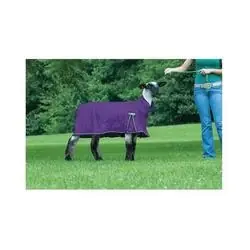 Weaver ProCool 35-3522-B5 Mesh Sheep Blanket with Reflective Piping, M, Purple