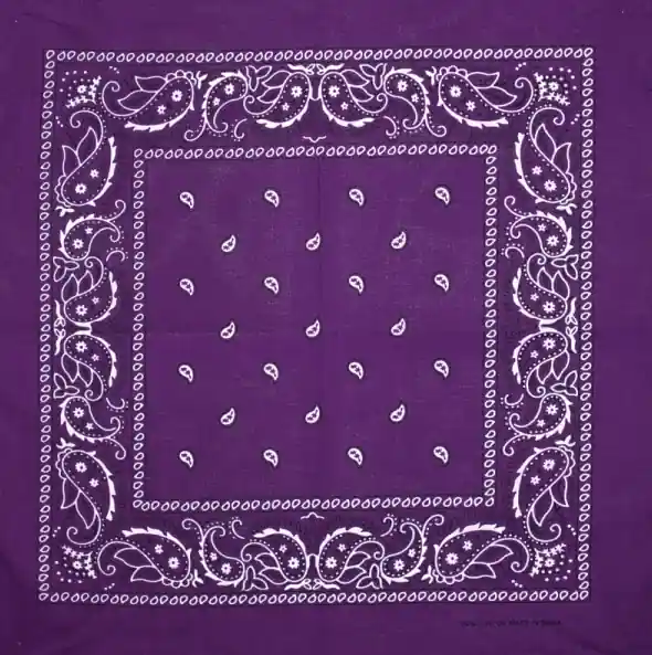 Artex Burgundy Paisley Bandana 8B005