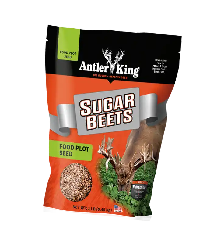 Antler King Sugar Beets Deer Food Plot 1 lb