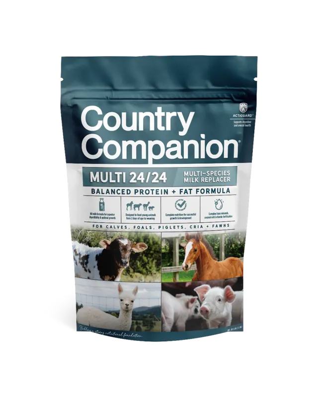 Country Companion Multi-Species 24/24 Milk Replacer - 6 lbs.