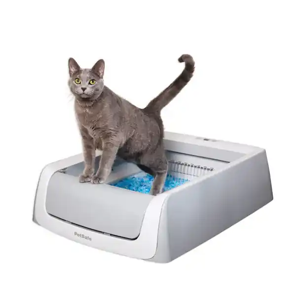 Petsafe Scoop Free Automatic Self-Cleaning Cat Litter Box