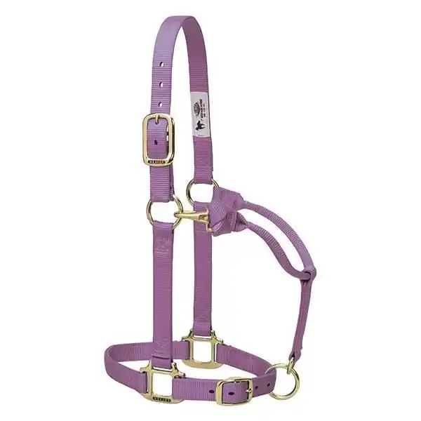 WEAVER LEATHER 35-7035-LV Adjustable Halter, Average, Nylon, Lavender