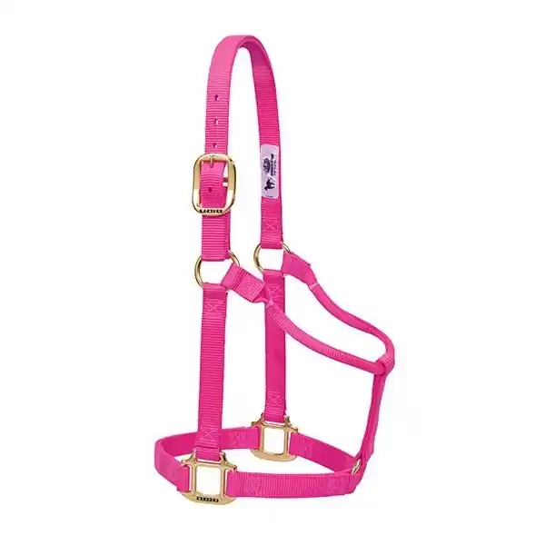 WEAVER LEATHER 35-7005-DP Non-Adjustable Halter, Average, Nylon, Diva Pink