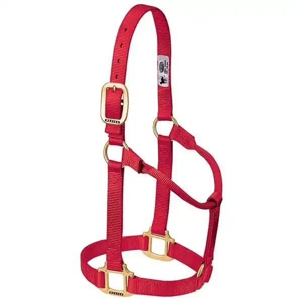 WEAVER LEATHER 35-7005-RD Non-Adjustable Halter, Average, Nylon, Red