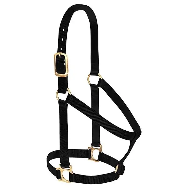 WEAVER LEATHER 35-7404-BK Non-Adjustable Halter, S, Nylon, Black