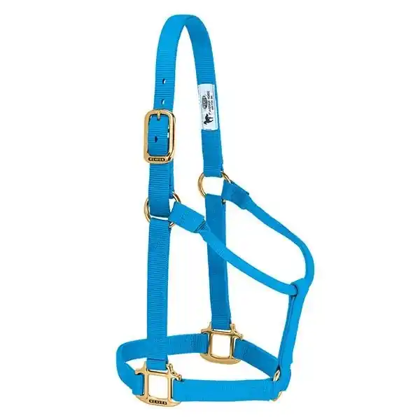 WEAVER LEATHER 35-7005-HB Non-Adjustable Halter, Average, Nylon, Hurricane Blue