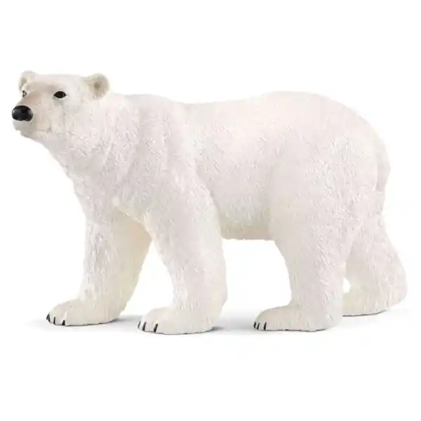 Schleich-S 14800 Polar Bear Figurine, 3 to 8 years, Polar Bear, Plastic