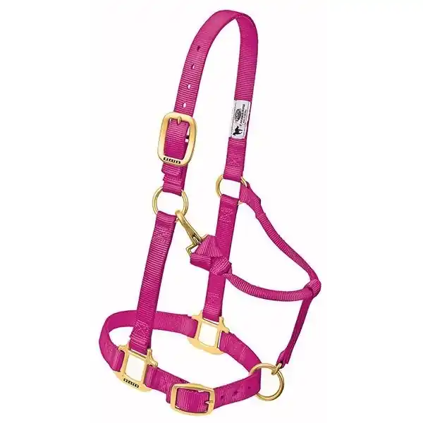 WEAVER LEATHER 35-1032-RA Adjustable Halter, Pony, Weanling, Nylon, Raspberry