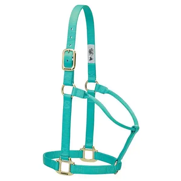 WEAVER LEATHER 35-7005-MT Non-Adjustable Halter, Average, Nylon, Mint