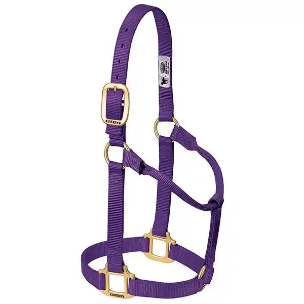 WEAVER LEATHER 35-7005-PU Non-Adjustable Halter, Average, Nylon, Purple