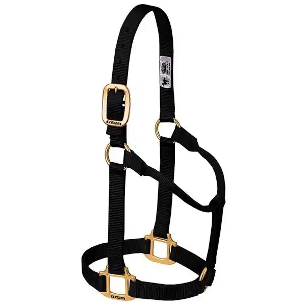 WEAVER LEATHER 35-7006-BK Non-Adjustable Halter, L, Nylon, Black