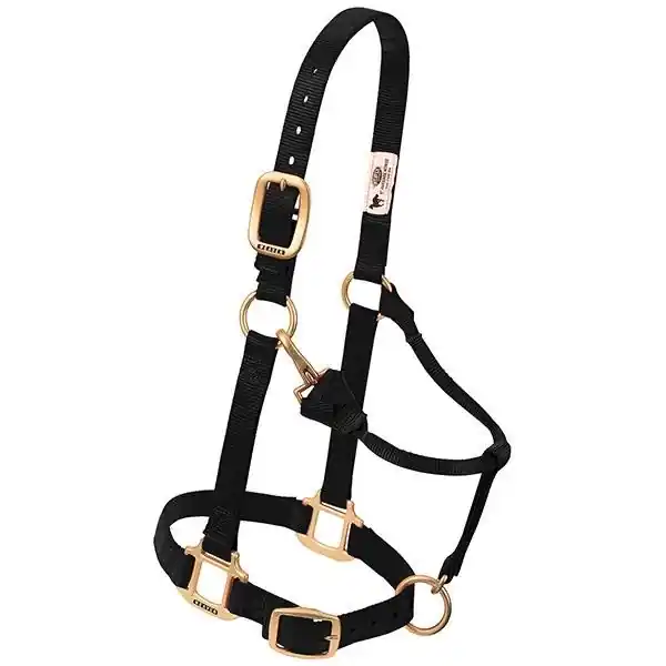 WEAVER LEATHER 35-7035-BK Adjustable Halter, Average, Nylon, Black