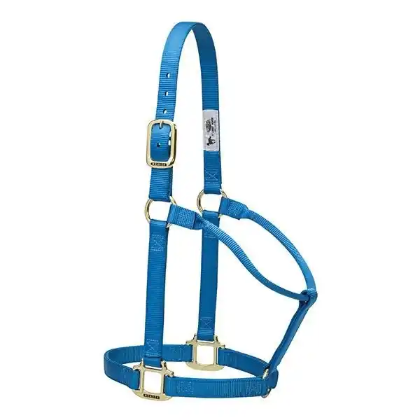 WEAVER LEATHER 35-7004-HB Non-Adjustable Halter, S, Nylon, Hurricane Blue