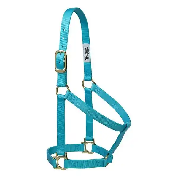 WEAVER LEATHER 35-7405-TU Non-Adjustable Halter, Average, Nylon, Turquoise