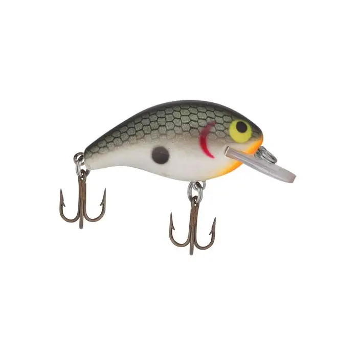 REBEL F9148V Fishing Lure, Crankbait, Super Teeny Wee-R, Bass, Gamefish, Panfish, Tennessee Shad Lure