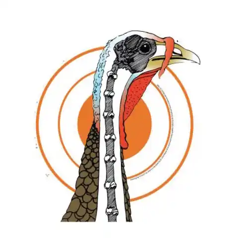 Primos 6041 Shotgun Target, 12 Number of Targets