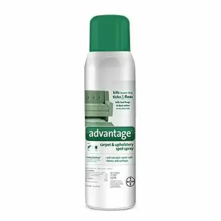 Advantage 79362 Carpet and Upholstery Spot Spray, Spray, Sweet Characteristic, 16 oz
