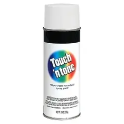 TOUCH ‘N TONE 55280830 Spray Paint, Flat, White, 10 oz, Aerosol Can