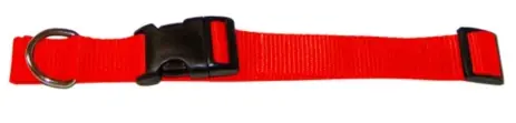 Scott Pet 1428HOLG Adjustable Dog Collar, 12 to 18 in L Collar, 1 in W Collar, Nylon, Hot Orange