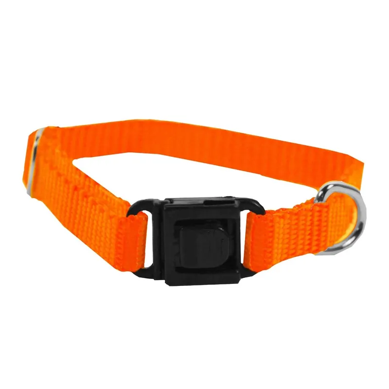 Scott Pet 1413HO08 Dog Collar, 8 in L Collar, 3/8 in W Collar, Nylon, Hot Orange