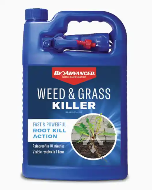 BioAdvanced Weed & Grass Killer RTU - 1 Gallon
