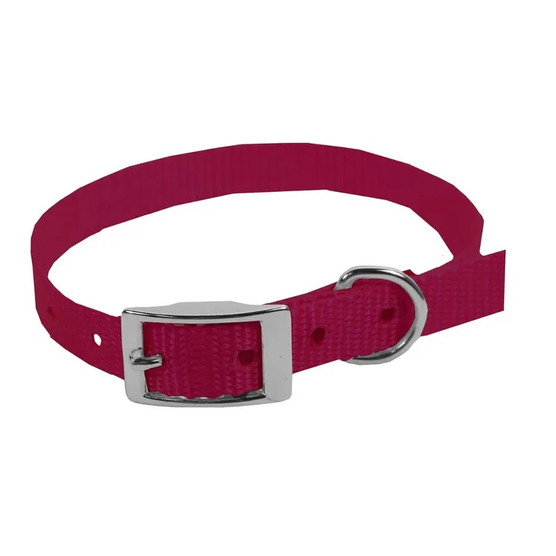 Scott Pet 1413SF08 Puppy Dog Collar, 8 in L Collar, 3/8 in W Collar, Nylon, Strawberry Frost