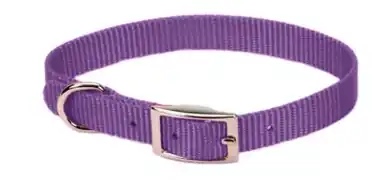 Scott Pet 1416PR14 Puppy Dog Collar, 14 in L Collar, 3/4 in W Collar, Nylon, Purple