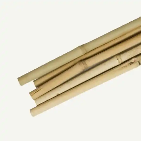 Gardener‘s Blue Ribbon BB6N Plant Stake, 6 ft L, Bamboo, Natural