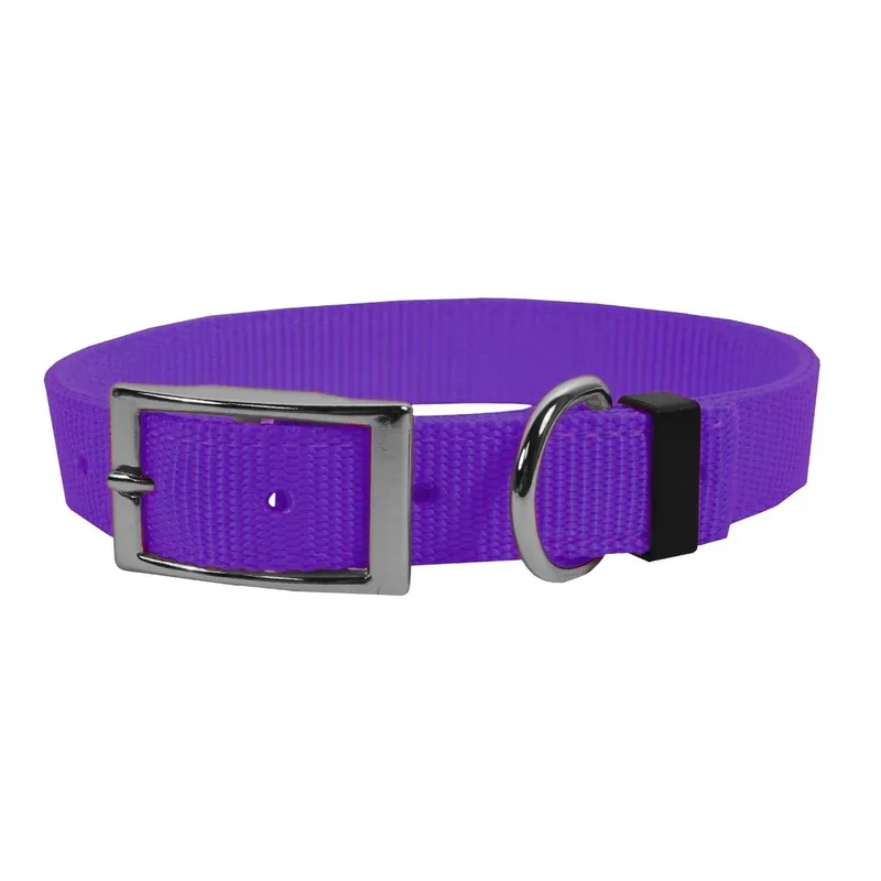 Scott Pet 1668PR20 Extended D Collar, 20 in L Collar, 1 in W Collar, Nylon, Purple