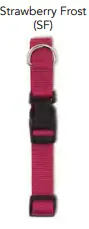 Scott Pet 1668SF20 Extended D Collar, 20 in L Collar, 1 in W Collar, Nylon, Strawberry Frost