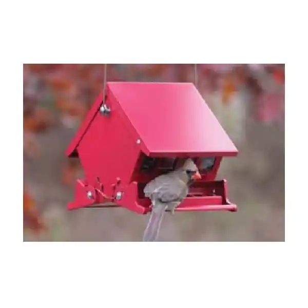 Audubon Absolute 7458 Mini Hopper Bird Feeder, 4 lb, Steel, Red, 8.8 in H