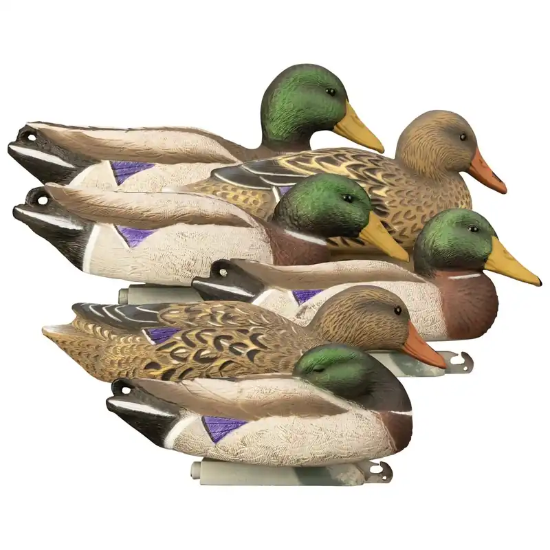 Higdon Outdoors Full-Size Mallard Decoys - 6 Pack