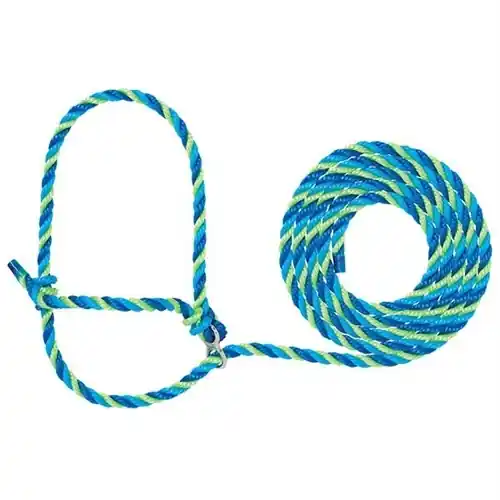 Weaver Poly Rope Breaking Halter - Blue/Hurricane Blue/Lime Zest