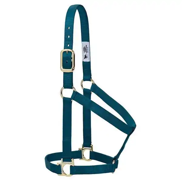 Weaver Basic Non-Adjustable Halter - Medium Teal