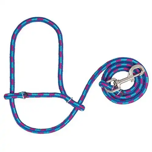 Weaver Poly Rope Sheep Halter with Snap - Hurricane Blue/Royal Blue/Rose